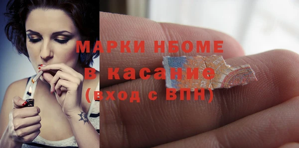прущие грибы Алзамай