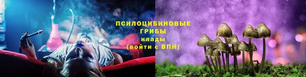прущие грибы Алзамай