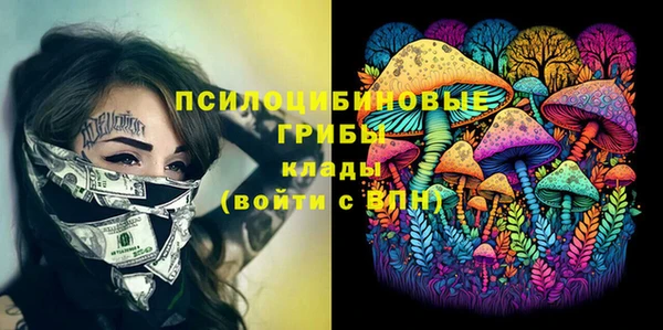 прущие грибы Алзамай
