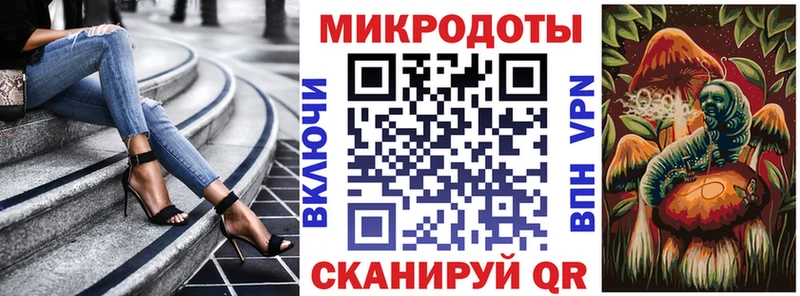 дарнет шоп  Павлово  Псилоцибиновые грибы мухоморы 